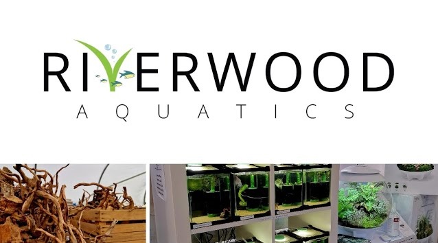 Riverwood Aquatics – Assington